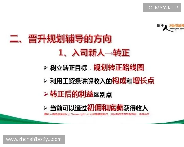 赢点体育线上开户攻略全方位指导新手快速注册与账户安全保障